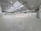 HALA produkcyjna 2950m2 OLKUSZ - 5