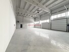 HALA produkcyjna 2950m2 OLKUSZ - 7
