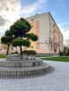 Bezpośrednio jasne mieszkanie w samym centrum - 9