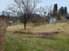 Sprzedam działkę ROD OKAZJA 13 Pułku w Elblągu - 4