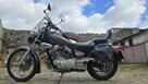 Yamaha XV 250 VIRAGO - 2