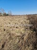 Działka budowlana Jaktorów Jaktorów - 1