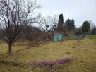 Sprzedam działkę ROD OKAZJA 13 Pułku w Elblągu - 2