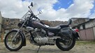 Yamaha XV 250 VIRAGO - 5