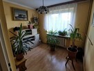 2 domy Bytom, Stolarzowice bez pośrednika - 4