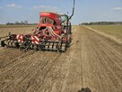 uprawa bezorkowa Usługi siew zbóż kukurydzy, wywóz szamba - 11