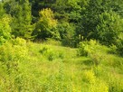 działka rekreacyjna - 4