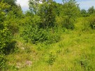 działka rekreacyjna - 13
