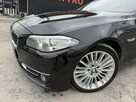 BMW 525 X-Drive. Salon PL. Bezwypadkowy. Serwisowany. Wersja LUXURY - 10