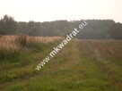 Działka Nowe budy - 5