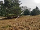 ⭐⭐⭐⭐⭐ Urokliwa Działka Makówka 1600m ⭐⭐⭐⭐⭐ - 5