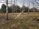 ⭐⭐⭐⭐⭐ Urokliwa Działka Makówka 1600m ⭐⭐⭐⭐⭐ - 6