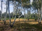 Śliczna działka Bieganów 1700 m2 z MPZP! - 1