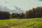 Działka budowlana Dębno - 12