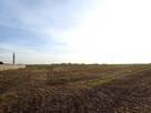 Sprzedam atrakcyjną działkę Widziszewo, MN,AG,PROD - 11