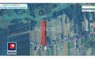 Działka siedliskowa Albertów gm. Puchaczów Albertów II, Albertów II - 10