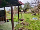 OKAZJA! Działka ROD Hermes Balice 4 ARY Domek 35m² + 15m² Ta - 13