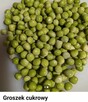 Groszek Groch cukrowy szybko rośnie Nasiona