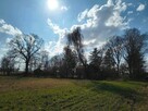 Stare urokliwe siedlisko ( dom , działka ) - 8