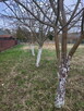 Piaseczno_Łbiska. - 2