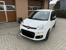 Fiat Panda !! Rezerwacja !! - 12