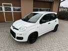 Fiat Panda !! Rezerwacja !! - 13