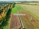 Rzerzęczyce 1132m2 budowlana, z planem miejscowym - 8