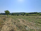 Bodzanów k. Wieliczki działka bud. 18a MN+40a R - 4