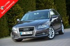Audi A3 Lift Klimatronic 2xParktronic Park Assist Relingi Oryginał z Niemiec