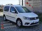 Volkswagen Caddy 4Motion Bi-ksenon Radar ACC Pełna FV23 - 1