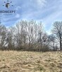 Radostów Dolny, działka na sprzedaż. - 9