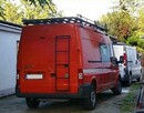 Fartuchy stylonowe Motylki cena 13,75 zł. netto Rates.pl - 17