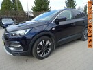 Opel Grandland X 1.2 130KM ,Krajowy, Serwisowany ASO ,Bezwypadkowy