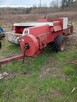 Sprzedam prase kostke - 7