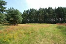 Sprzedam ładną działkę pod lasem - 3