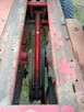 Sprzedam prase kostke - 2