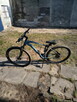 Rower shark 6.0 - 6