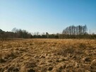 Twoja Wyspa na końcu drogi–4100m² dzikiej natury przy rzece - 3