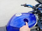 Fazer 100 - 3