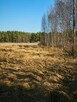 Twoja Wyspa na końcu drogi–4100m² dzikiej natury przy rzece - 5