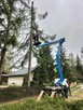 Wycinka podcinka drzew, pielęgnacja tuj, prace porządkowe - 2