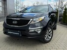Kia Sportage 1.6 GDI (135KM) 6MT, 2WD Business Line, SalonPL Serwis ASO - 9