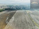 Działka rolna Lisia Góra - 5