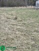Działka niedaleko lasu wśród nowej zabudowy - 3