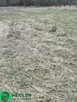 Działka niedaleko lasu wśród nowej zabudowy - 8