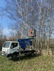 Wycinka podcinka drzew, pielęgnacja tuj, prace porządkowe - 4