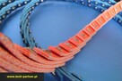 Pasy klinowe segmentowe NuTLink, SuperTLink, PowerTwistPlus - 4