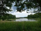 Mazury! Domek nad jeziorem z własną linią brzegową - 9