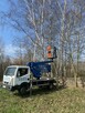 Wycinka podcinka drzew, pielęgnacja tuj, prace porządkowe - 3