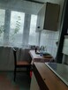 PŁOCK  - 3 pokoje - 54,8 m² -  1. piętro - 385 000 PLN - 6
